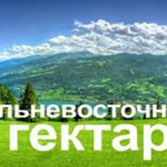 Реализация закона о дальневосточном гектаре.